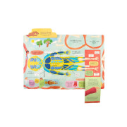 Jak funguje lidské tělo? Albi