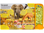 Velká kniha zvuků v divočině