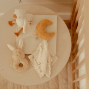 Dárková sada Newborn Naturals Little Dutch