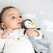 2-dílný bavlněný set do postýlky 0 m+ bonjourbébé