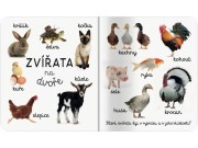 Domácí zvířata První slova