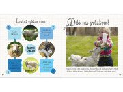 Z jehněte ovce, z pulce žába - Životní cyklus