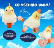 Opakující a zpívající papoušek Steppos