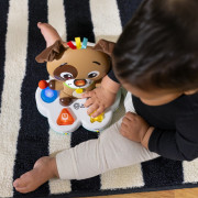 Hračka hudební vzdělávací Drum & Learn Dean™ 6 m+ Baby Einstein