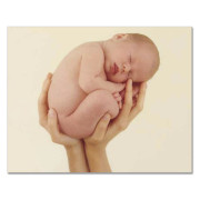 Můj První Rok kalendář Anne Geddes