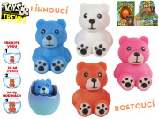 Medvídek líhnoucí a rostoucí Toys&Trends