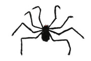 Pavouk velký plyš 125 x 8 cm karneval