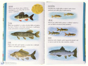 Vzhůru do divočiny! U řeky