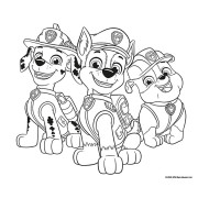 555 samolepek Tlapková patrola