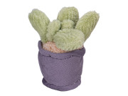 Plyšové pokojové rostliny 12-17 cm 0 m+Take Me Home