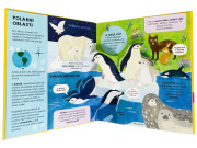 Úžasná zvířata POP-UP Catherine Ard, Melanie Mikecz