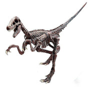 Archeologická sada Velociraptor LISCIANI










