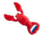 Krab na písek Plejo
