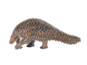 Zoolandia zvířátka safari