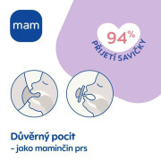 Dudlík Perfect 6 m+ MAM