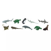 Tuba - Ohrožené mořské druhy