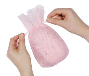 Baby Born Surprise 4, Sidekick