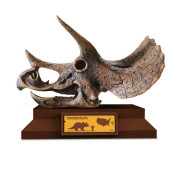 Lovci lebek Albi - Triceratops