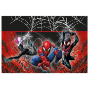 Plastový ubrus Spiderman (World of web) 120x180 cm