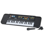 Klávesy s mikrofonem 54 cm