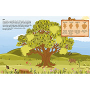 Samolepková knížka Naše stromy