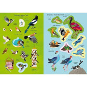 Moje první samolepkování Ptáci