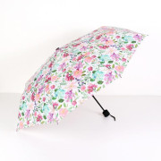 Skládací deštník - Hortenzie Albi