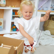 Edukační box Maxi 19–24 měsíců 6 ks