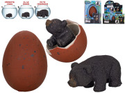 Medvěd černý líhnoucí a rostoucí 