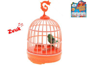 Ptáček zpívající Toys&Trends