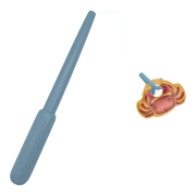 Rybářská sada do koupele Little Dutch