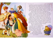 Nejkrásnější pohádky o princeznách z celého světa  Stefania Leonardi Hartley