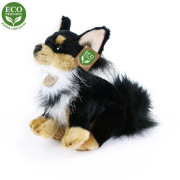 Plyšový pes čivava sedící 24 cm Rappa