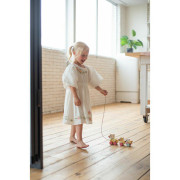 Tahací kačenky dřevěné Cubika