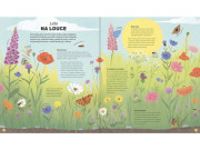 Příběhy ročních období Anna Wilson, Carolina Rabei