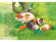 Zábavné čtení s velkými písmeny