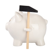 Pokladnička Albi - Na společnou cestu životem