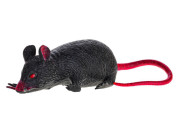 Myš strečová natahovací 12 cm