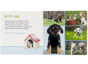 Poslouchej, kdo to může být? Domácí mazlíčci