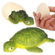 Líhnoucí se vejce želva