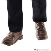 Harry Potter a tajemná komnata panenka - Sirius Black