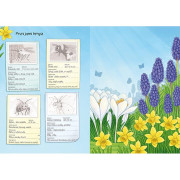 Svět zvířat v samolepkách Hmyz a spol.