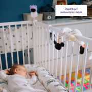 TrueLife NannyCam R6 Dual Smart