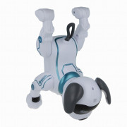 Pes na dálkové ovládání MXRD-100 bílý Maxlife