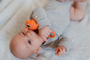 Chrastíček dino 2ks silikon 13 x 5 cm Babyted 