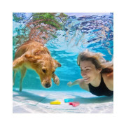 Podvodní písmenka Albi