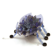 Robotický brouk HEXBUG Beetle