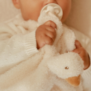 Muchláček husa Newborn Naturals Little Dutch