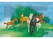 Zábavné čtení s velkými písmeny