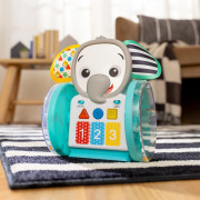 Hračka hudební interaktivní Chase & Tap Earl™ 6 m+ Baby Einstein